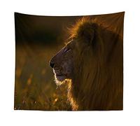 BOYOUTH Tapestry Wall Hanging,Lion on the African Savanna Photos Digital Print Wall Tapestry Art Home Decorations for Living Room Bedroom Dorm,78.7" Wide By 59.1" High