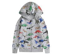Boys and Girls Hoodies Warm Soft Pullover Sweatshirt Sports Casual Wear Long Sleeve Top Comfortable Hooded School Age 7-13 Years Grey