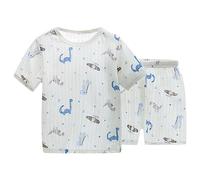 Boys and Toddlers' Outfit Sets Button Down Shirts Clothes Hawaiian Shirt Short Dinosaur Monster Print Top Animal Summer Outfits Stylish Letter Pattern Set Festival Streetwear Blue