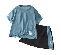 Boys and Toddlers' Outfit Sets Button Down Shirts Clothes Kids Colour Blocked Short Sleeve Graphic Tee Printed Cabana Set Loose Comfortable Daywear Merchandise Gift Green