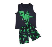 Boys and Toddlers' Outfit Sets Casual Kids Shorts Dinosaur Monster Print Top Short Sleeve Crew Neck Loose Comfortable Daywear Merchandise Gift Black