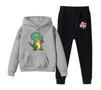 Boys Dinosaur and Flowers Print Hoodie Tracksuit Set Cute Valentine's Day Pullover with Matching Sweatpants Two Piece Outfit Toddler Princess Dress Up Valentine's Valentine Girls Hearts