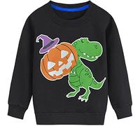 Boys Dinosaur Jumper for Halloween Kids Outfit Toddler Glow in The Dark Pumpkin Dinosaur Clothes Children Cotton Long Sleeve Baby Halloween Clothes age 6-7 Years