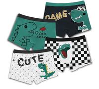 Boys Dinosaurs Prints Boxer Shorts Pants Kids Underwear Cotton Toddler Underpants 4 Pack Briefs Size 2-11 Years (J, 10-12 Years)