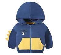 Boys Fleece Hoodie Dinosaur Print Pullover Sweatshirt Soft Comfortable Long Sleeve Casual Top Toddler Children Winter Fall Outerwear Age 1 to 10 Years(Blue, 2-3 Years)