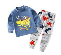 Boys Girls' Cotton Pajamas Set for Toddler Baby Dinosaur Cartoon Sleepwear Pjs Long Sleeve Tops+Pants Loungewear Newborn Boy Clothes Winter (AC, 18-24 Months)