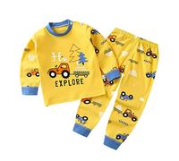 Boys Girls' Cotton Pajamas Set for Toddler Baby Dinosaur Cartoon Sleepwear Pjs Long Sleeve Tops+Pants Loungewear Newborn Boy Clothes Winter (AD, 12-18 Months)