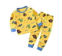 Boys Girls' Cotton Pajamas Set for Toddler Baby Dinosaur Cartoon Sleepwear Pjs Long Sleeve Tops+Pants Loungewear Newborn Boy Clothes Winter (V, 3-4 Years)