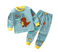 Boys Girls' Cotton Pajamas Set for Toddler Baby Dinosaur Cartoon Sleepwear Pjs Long Sleeve Tops+Pants Loungewear Newborn Boy Clothes Winter (AA, 12-18 Months)