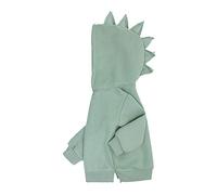 Boys Girls Hooded Dinosaur Sweatshirt Baby Candy Colors Hoody Pullover Kids Coats Outerwear Green