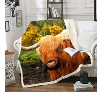 Boys Highland Cow for Sofa Bed Cattle Landscape Sherpa Blanket for Kids Teens Youth Brown Farmhouse Cow Funny Cute,Single 50x60 Inch