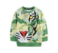 Boys Hoodie Cartoon Tiger Print European Knitted Round Neck Long Sleeve Pullover Sweatshirt Soft Warm Active Outdoor Play Age 5-12 Years Green