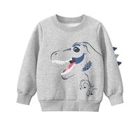 Boys Hoodie Dinosaur Print Fleece Lined Long Sleeve Pullover Warm Casual Top Soft Blend Comfortable Playwear Age 2-8 Years Light Gray