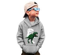 Boys Hoodie Kids Unisex Fleece Pullover PE School Sweat with Pocket Hooded Jumper Trending Jacket for Girls Grey