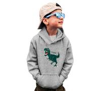 Boys’ Hoodies Child Sweatshirt Print Hooded with Pocket Casual Hoody Sportswear Varsity Hoodie for Childrens Unisex Age 2-13 Years Grey