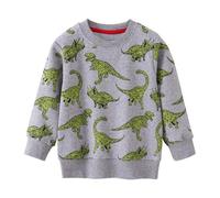 Boys’ Hoodies Sweatshirts Girls Unisex Jumper Child Sweatshirt Graphic Outfits with Pocket Sports Casual Wear Varsity Hoodie for Spring Fall Walking Grey