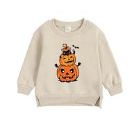 Boys Jumper T-Shirt Long Sleeve Graphic Tops Fleece Sweatshirt Casual T Shirt Fall Toddler Clothes Age 1-7 Years