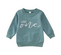 Boys Jumpers Letter Print Pullover Sweatshirt Long Sleeve Soft Cosy Infant Baby Boys Top for Everyday Cute Outfits Nursery Playtime Snuggle (Blue,12-18 Months)