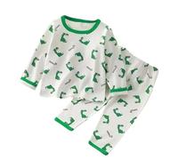 Boys Kids Baby Toddler Infant Children Dino Dinosaur Soft Comfortable Pyjama Set (Age 2-3, White)