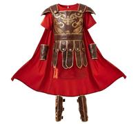Boys Knight Costume, Roman Design Medieval Knight Costume, L 10-12yrs | Authentic heroic design, full accessory set, fits 4-6Y, ideal for cosplay & shows