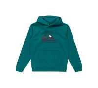 Boys Logo Hoodie in Teal Green