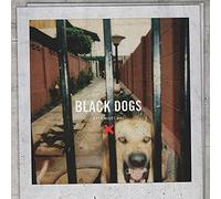 BOYS NIGHT OUT - Black Dogs