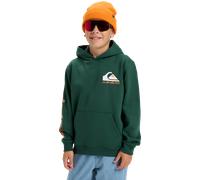 Boys Omni Logo Hoodie in Trekking Green