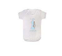 Boys Peter Rabbit Personalised I AM 1 Birthday Vest (Cake Smash) (9-12 Months) White