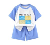 Boys Plain Shorts Set Boys Comfortable and Breathable Set Cute Cartoon Printed Short Sleeve Top Shorts Two Piece (Blue, 7-8 Years)