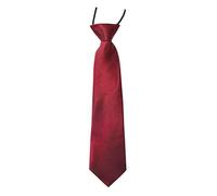 Boys Pre-Tied Elasticated Ties. Satin Plain Coloured Childrens Tie. 22 Colours Available. Handmade. Wedding, School, Fashion (Deep Red, Boys Tie)