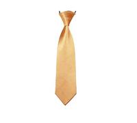 Boys Pre-Tied Ties. Satin Plain Coloured Childrens Tie. Elasticated. 22 Colours Available. Handmade. Wedding, School, Fashion (Gold, Boys Tie)