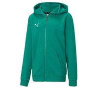 Boy's Puma Juniors TeamGOAL 23 Casuals Hooded Jacket in Green