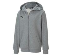 Boy's Puma Juniors TeamGOAL 23 Casuals Hooded Jacket in Grey