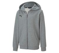 Boy's Puma Juniors TeamGOAL 23 Casuals Hooded Jacket in Grey