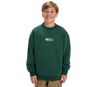 Boys Salt Water Graphic Sweatshirt in Trekking Green