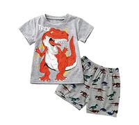 Boys Short Pyjamas Sets Dinosaur Print PJs Toddler Kids Summer Soft Sleepwear Pull on Cotton Short Sleeve Nightwear Baby Comfy Lounge Clothes Age 1-6 Years (Grey, 5-6 Years)