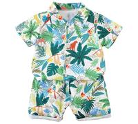 Boys Shorts and T-Shirt Sets Summer Outfits Toddler Boy 2 Piece Hawaiian Button Down Lapel Collar T Shirt and Shorts Leaf Print Hawaii Summer Clothes Casual T Shirts Bottom Clothing Set