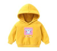 Boys Sweatshirt 5-6 Years - Cute For, Long Sleeve S With Panda Pattern, Pullover With Zip Pocket (Yellow, 18-24 Months)