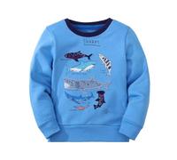 Boys Sweatshirt Embroidery Pullover Casual Kids Clothes Autumn Winter Comfortable Loose Fit Cotton Shark Series Age 2-8 Years Sky Blue