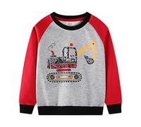 Boys Sweatshirt Long Sleeve Crewneck Pullover Cartoon Print Autumn New European Style Round Neck Top Comfortable Play Age 2-7 Years Grey