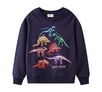 Boys Sweatshirts Glow in the Dark Dinosaur Print Crewneck Pullover Long Sleeve Soft Kids Jumper Casual Top for Nighttime Fun Everyday Cosy Autumn Adventure (1-2 Years) Pink
