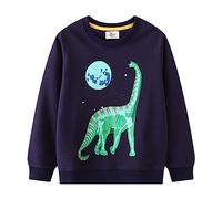 Boys Sweatshirts Glow in the Dark Dinosaur Print Crewneck Pullover Long Sleeve Soft Kids Jumper Casual Top for Nighttime Fun Everyday Cosy Autumn Adventure (Green,1-2 Years)