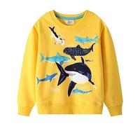 Boys Sweatshirts Glow in the Dark Dinosaur Print Crewneck Pullover Long Sleeve Soft Kids Jumper Casual Top for Nighttime Fun Everyday Cosy Autumn Adventure (Yellow,5-6 Years)