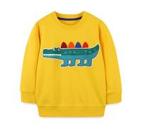 Boys Sweatshirts Graphic Long Sleeve Crewneck Pullover Soft Casual T Shirt Style Boys Jumper Comfortable Top for Autumn Everyday Play School Uniform Base (Yellow,4-5 Years)