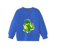 Boys Sweatshirts Sweatshirt Unisex Plain Fleece New Casual Fashion School Uniform Toddler Clothes Age 1-7 Years Blue