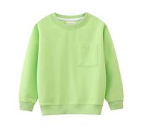 Boys Sweatshirts Toddler Pullover Jumper Long Sleeve Crewneck for Casual T Shirt Fall School Clothes Age 1-7 Years Green
