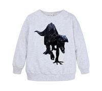 Boys Sweatshirts Toddler Pullover Jumper Long Sleeve Graphic Tops Sweater Jumber Full Cotton Casual Top School Size Age 5-13 Years Grey