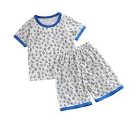 Boy's T-Shirt Shorts Set Breathable Shorts+T-Shirts Sets Kids Dinosaur Monster Print Top Short Sleeve Crew Neck Beach Vacation Casual Suit Festival Clothes Streetwear Blue