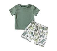 Boy's T-Shirt Shorts Set Button Down Shirts Clothes Kids Colour Blocked Outfit Dinosaur Monster Print Top Animal Summer Outfits Floral Cute Birthday Party Casual Green