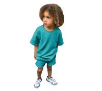 Boys t-Shirt Shorts Set Hawaiian Shirt Short Dinosaur Monster Print top Sleeve Graphic tee Crew Neck Floral Cute Festival Clothes Sky Blue